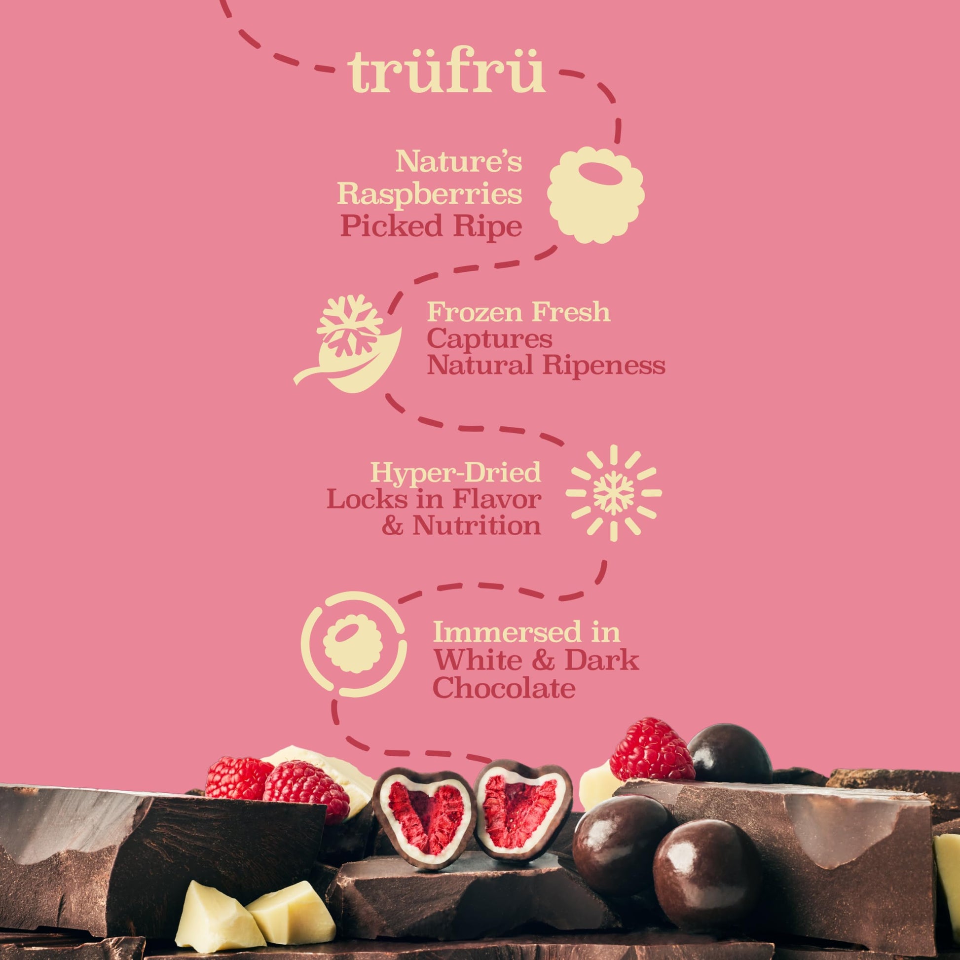 Product image of Tru Fru Nature's Raspberries Hyper-Dried Fresh in Dark Chocolate Bag 4.2 oz 4.2 oz