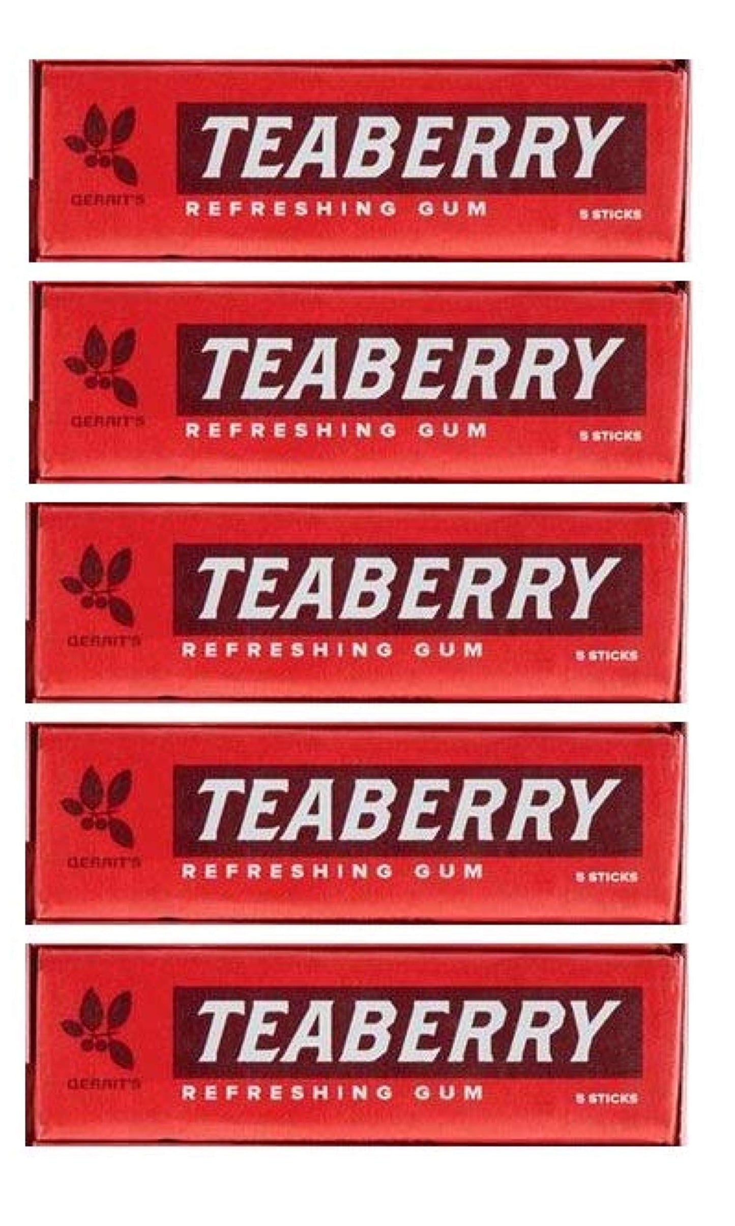Product image of FOTE HOME GOODS Teaberry Chewing Gum Classic Retro Nostalgic Flavor Pack of 5