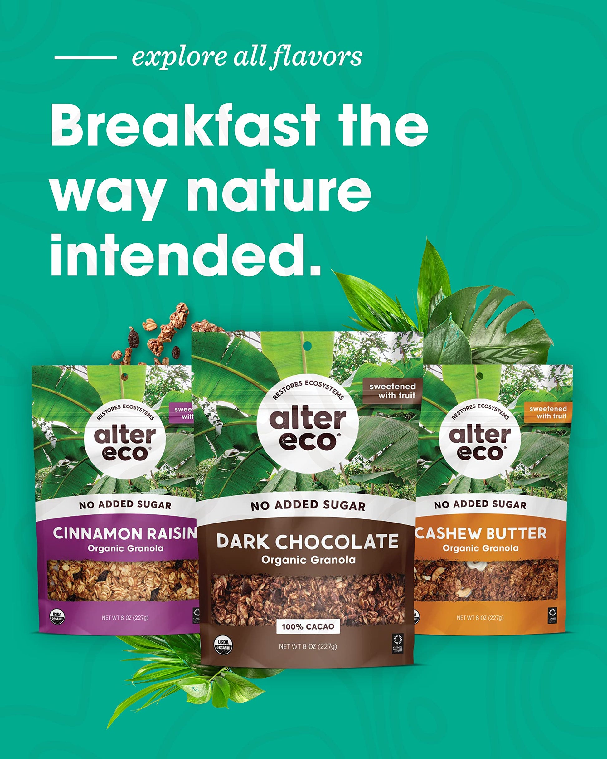 Product image of Alter Eco Cinnamon Raisin Granola Organic Vegan Naturally Sweetened Fruit No Artificial Sugars or Additives