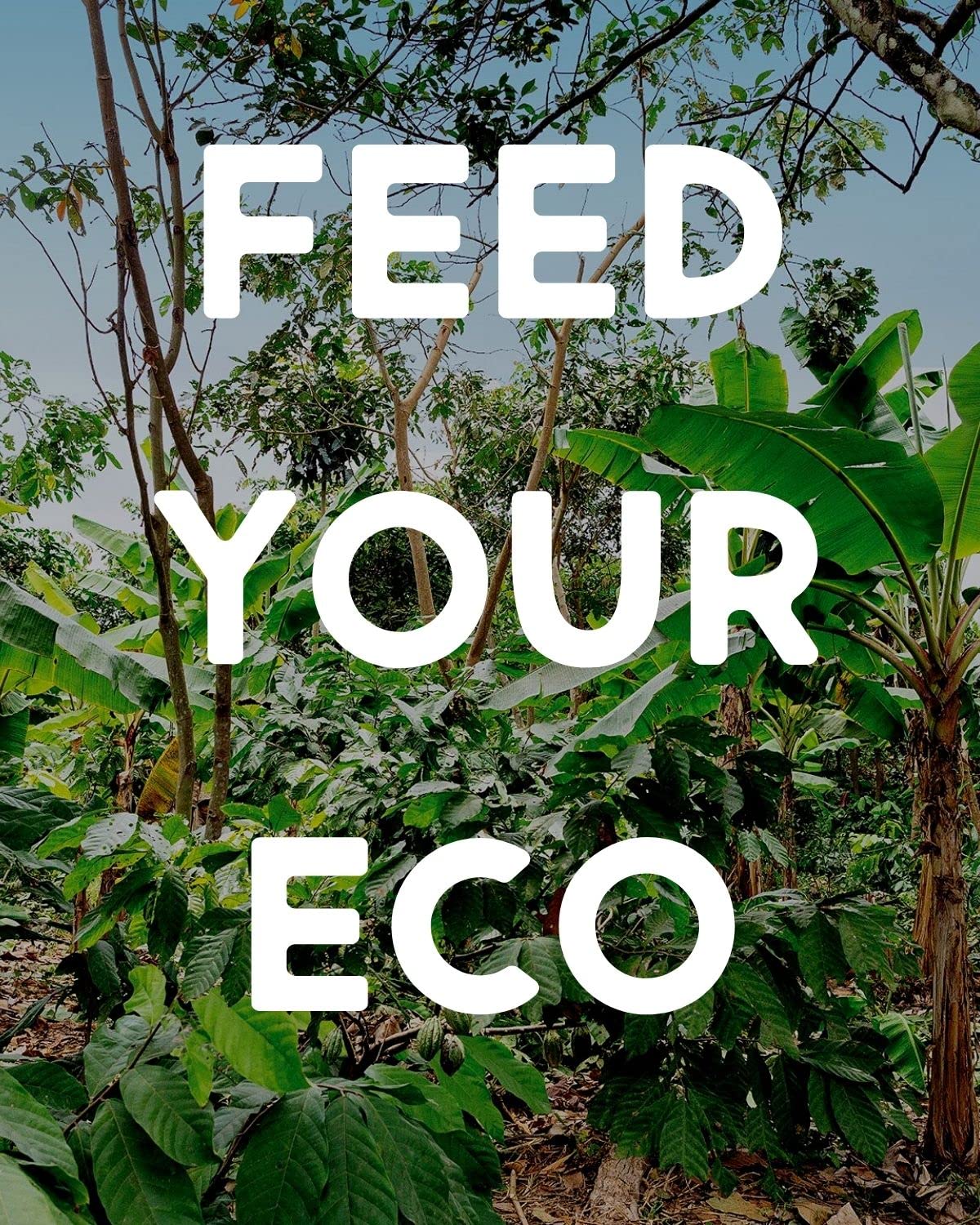 Product image of Alter Eco Cinnamon Raisin Granola Organic Vegan Naturally Sweetened Fruit No Artificial Sugars or Additives
