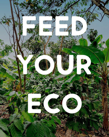 Product image of Alter Eco Cinnamon Raisin Granola Organic Vegan Naturally Sweetened Fruit No Artificial Sugars or Additives