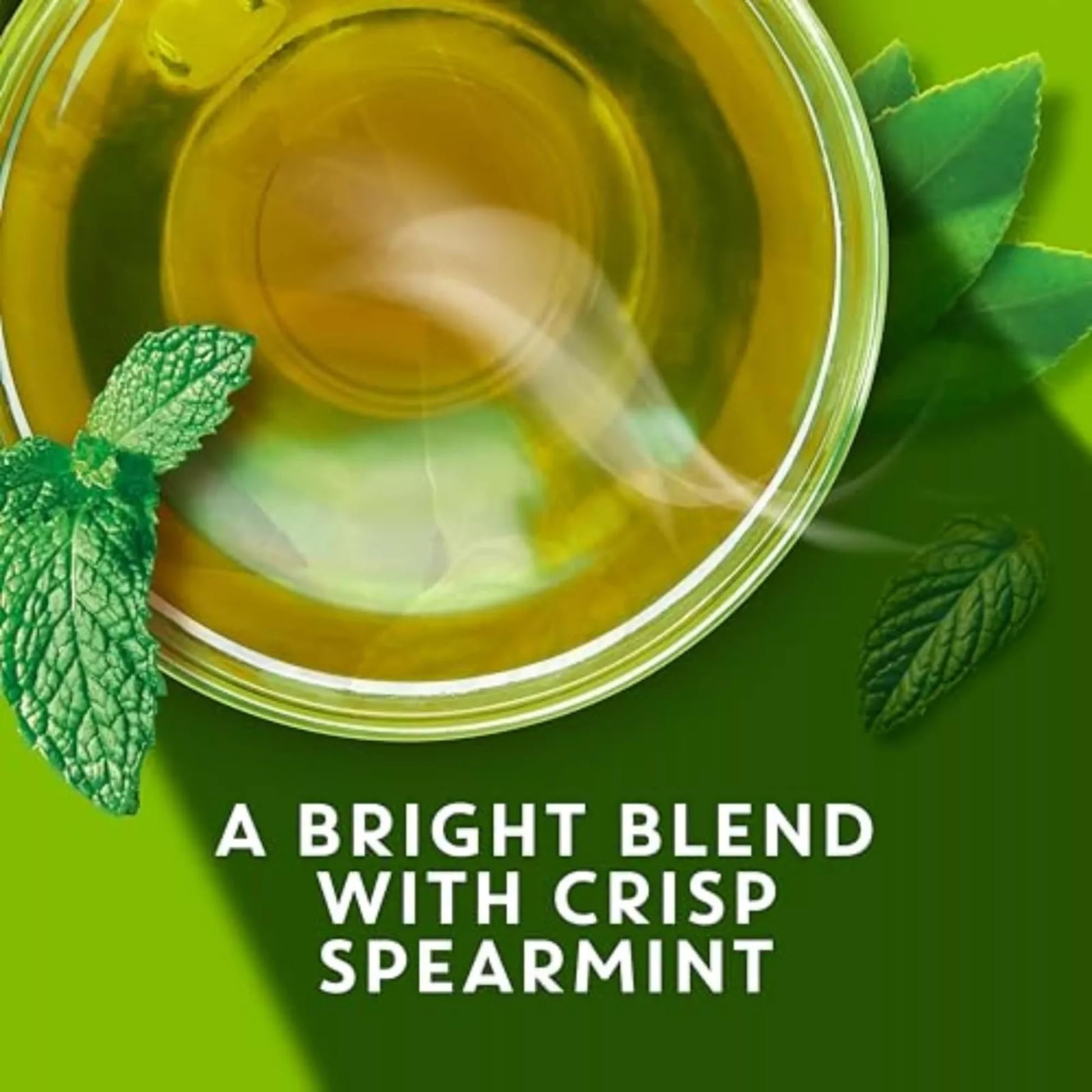 Product image of TAZO Tea Bags Green Tea Regenerative Organic Zen Tea 2.7 oz 36 ct 2.7 oz 36 Count