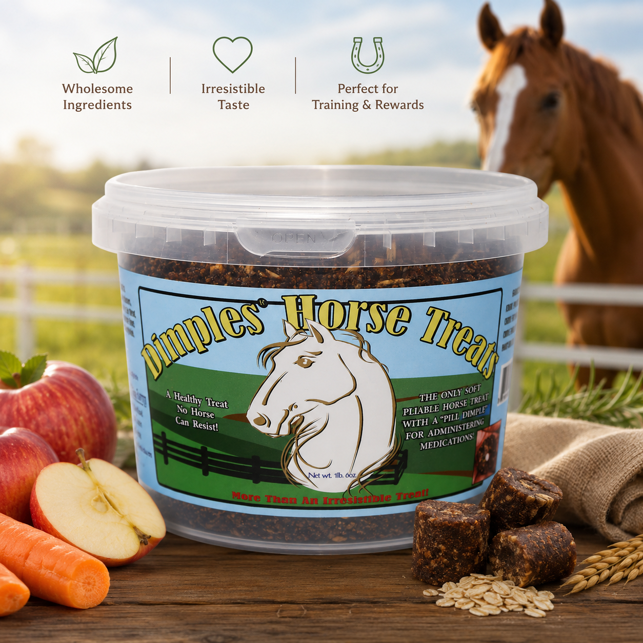 Dimples Horse Treats with Pill Dimples Tub of USA Made 1lb