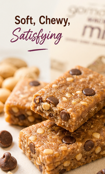 GoMacro Organic Peanut Butter Chocolate Chip Mini MacroBars Snack Food Bars 7.2 oz