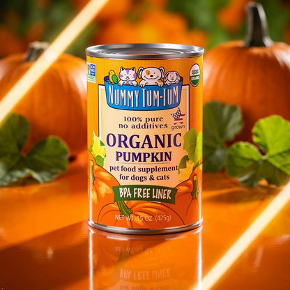 Nummy Tum Tum Organic Canned Pumpkin for Dogs, 15 oz (Pack of 12) Nummy Tum Tum